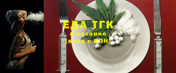 гидра Инта