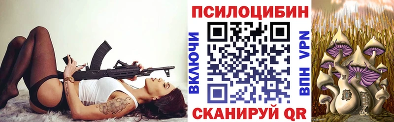что такое   ОМГ ОМГ ссылка  Псилоцибиновые грибы Magic Shrooms  Кызыл 
